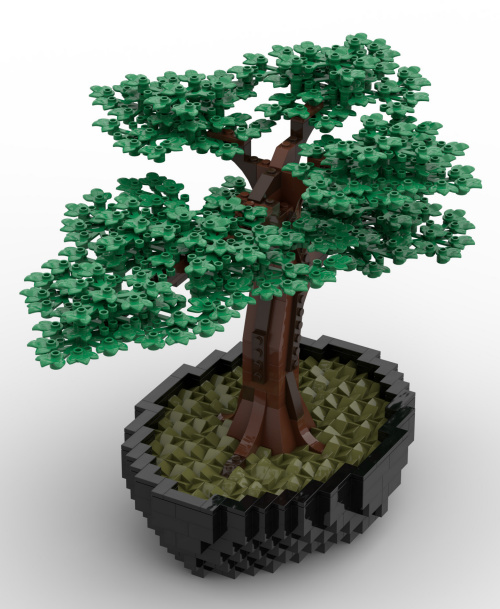 Bonsai Tree